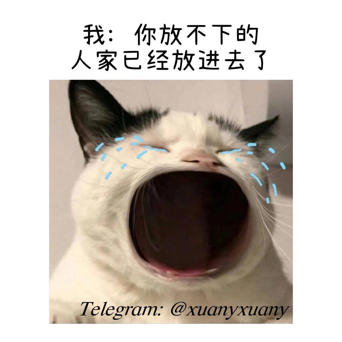 你放不下的 人家已经放进去了
https://t.co/eaWPRKeFdI https://t.co/gtLRmmsH0a