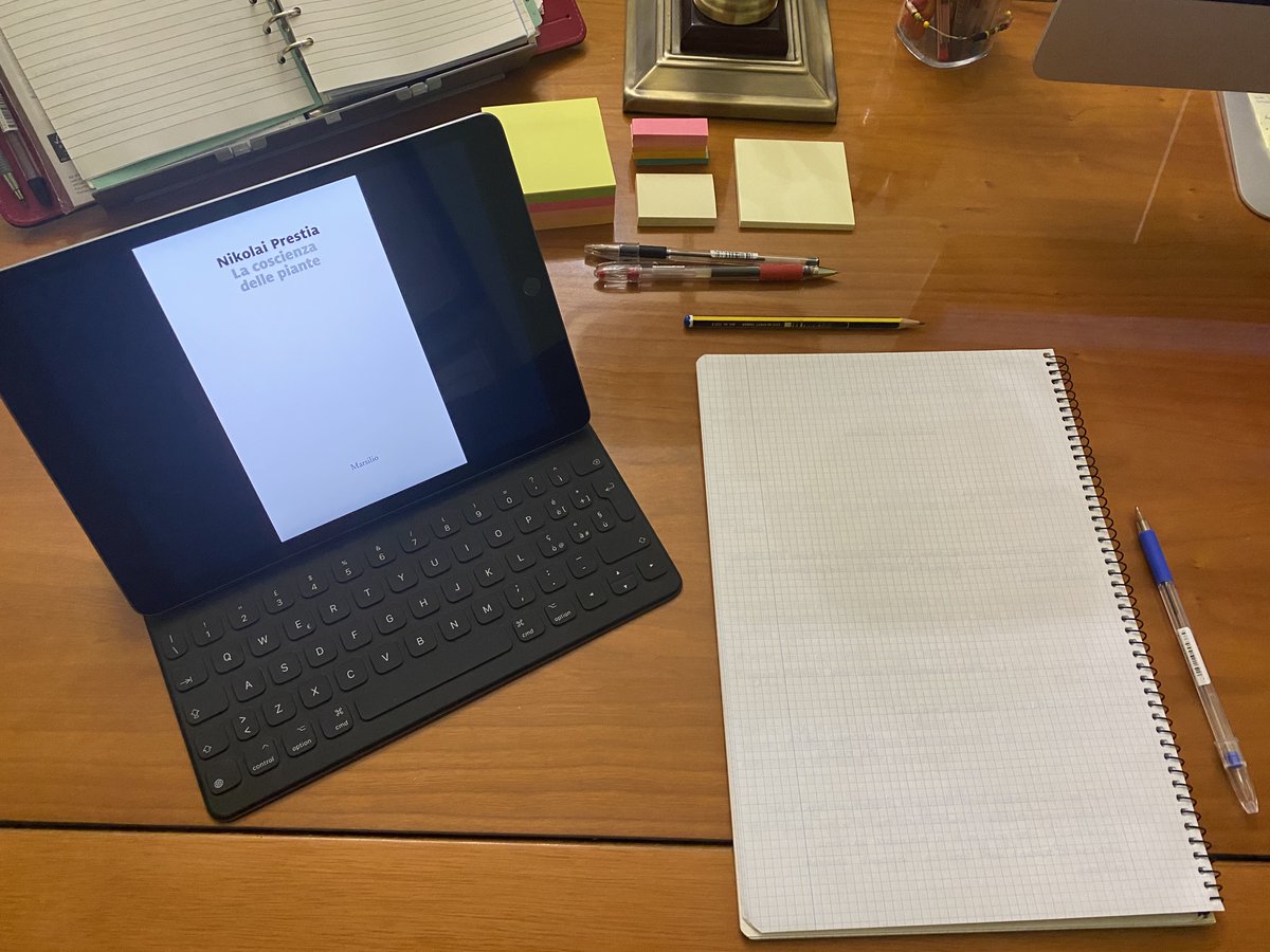 ILGalgano's tweet image. #readytoread “La coscienza delle piante “ #nikolaiprestia #romanzo #marsilio #marsilioeditore #lucialibri