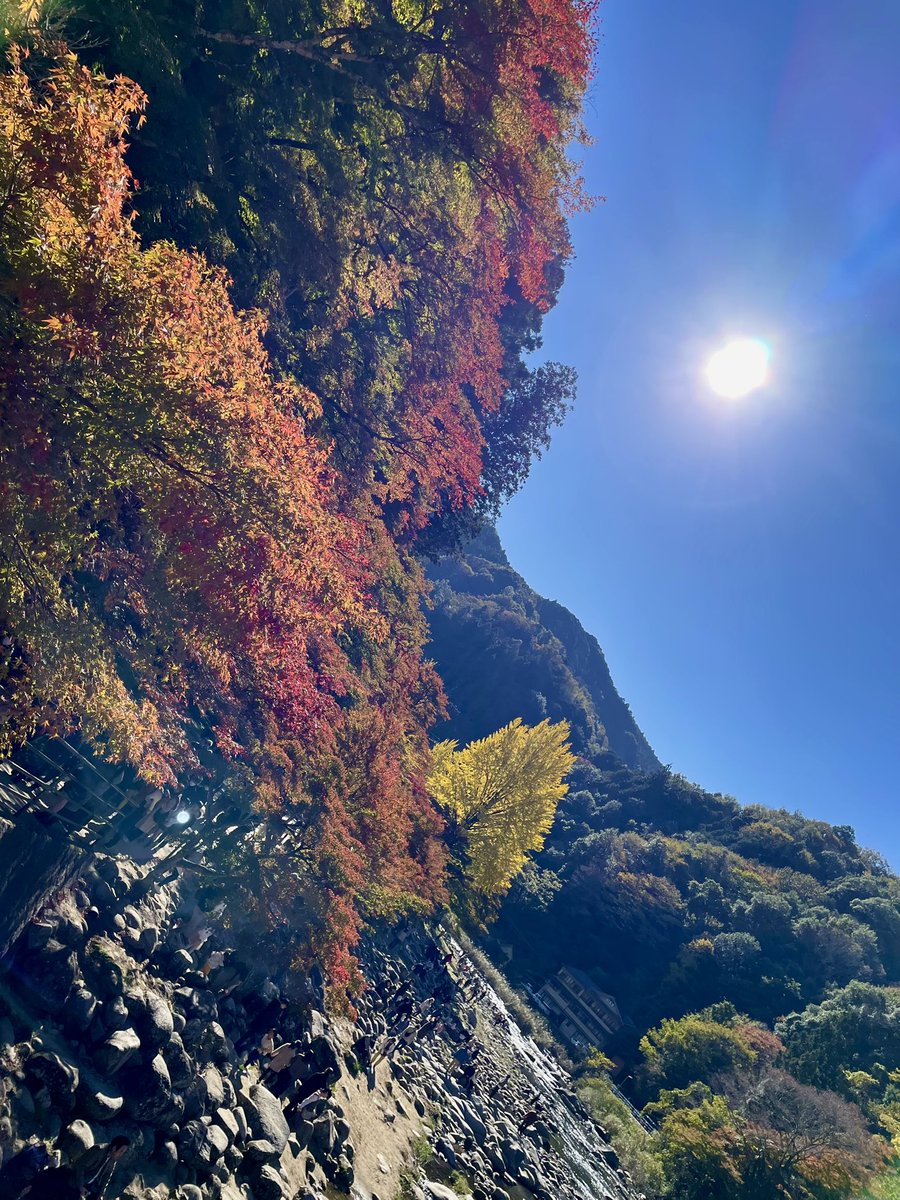 DKshige's tweet photo. 今日はATOMさんと紅葉クネクネツーリング😁
紅葉は猛暑と急な冷込みの影響かなぁ🧐
イマイチでしたがクネクネ道はメッチャ楽しかった🤩
#KAWASAKI
#z900rscafe
#Carolway
#香嵐渓
#加茂広域農道 https://t.co/u5enW62SYH
