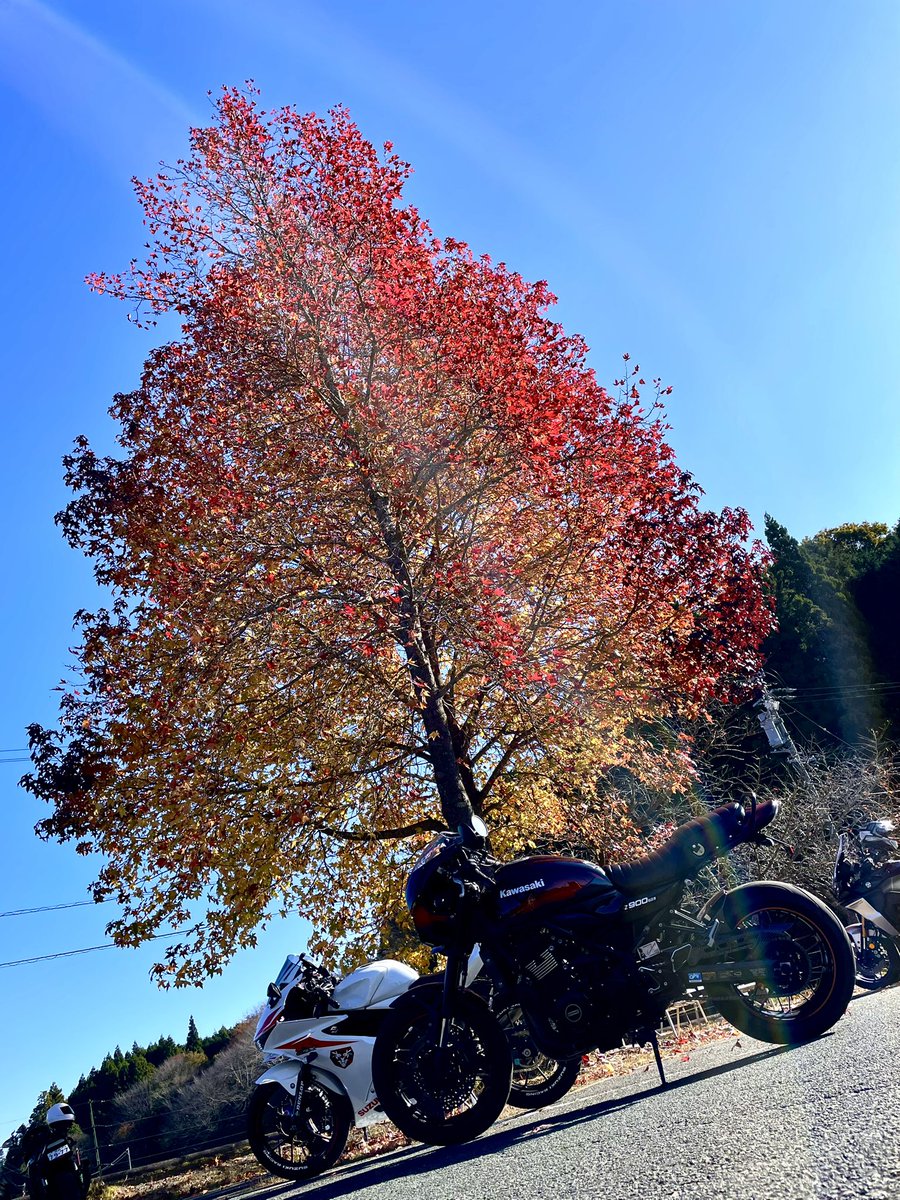 DKshige's tweet photo. 今日はATOMさんと紅葉クネクネツーリング😁
紅葉は猛暑と急な冷込みの影響かなぁ🧐
イマイチでしたがクネクネ道はメッチャ楽しかった🤩
#KAWASAKI
#z900rscafe
#Carolway
#香嵐渓
#加茂広域農道 https://t.co/u5enW62SYH