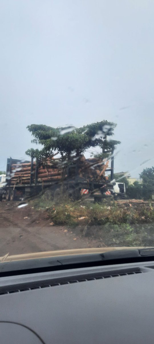 wanguingethe's tweet photo. @Kibet_bull Meanwhile in my hood Thogoto Kiriti forest... the trees are being ferried daily.  Who will save our forests. https://t.co/zgftoKsaMc