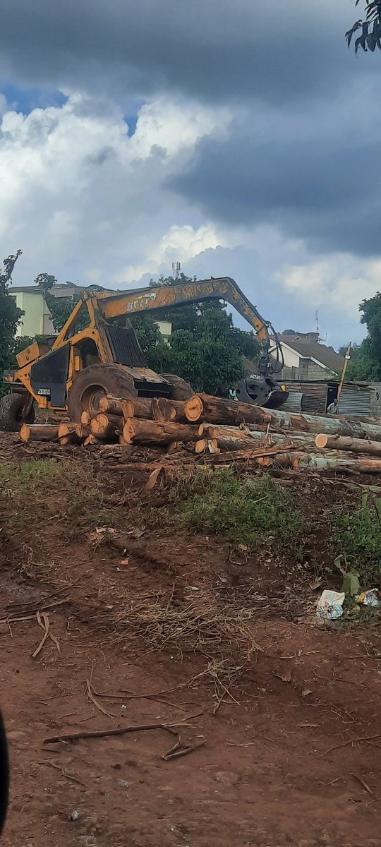 wanguingethe's tweet photo. @Kibet_bull Meanwhile in my hood Thogoto Kiriti forest... the trees are being ferried daily.  Who will save our forests. https://t.co/zgftoKsaMc