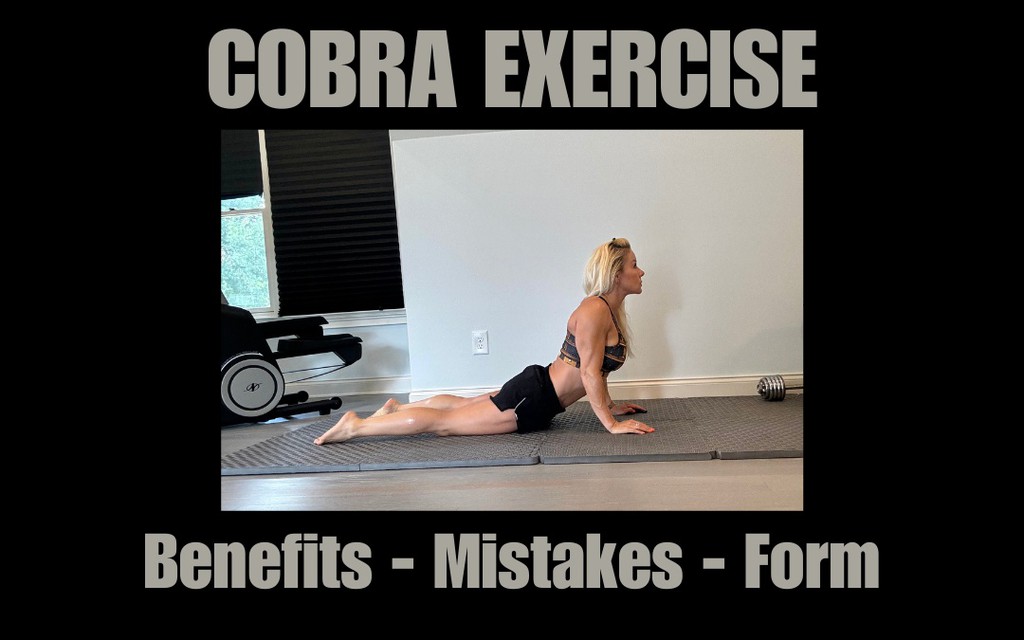 adrianafitnall's tweet image. Cobras stretch the entire spinal region and loosen up the vertebral column, providing relief from tension and pain in the back.

Cobra Exercise: Benefits, Mistakes, Form ➡️ lttr.ai/AYhnH

#BackPainExercise #BackExercise #CobraExercise #BackBendingYogaPose