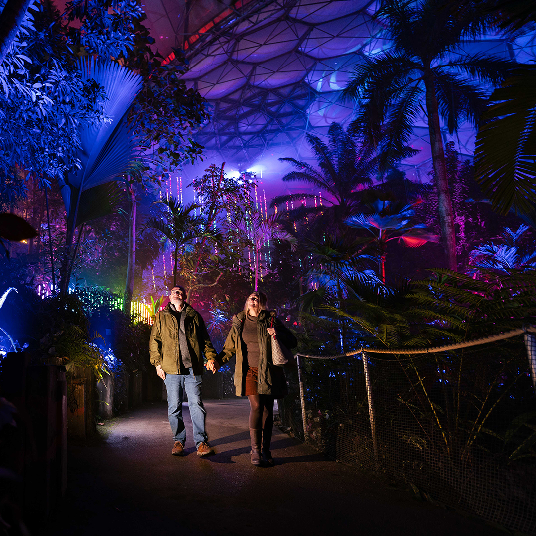 Great news - we're open today (Sat 23 Nov) despite the storm. We're looking forward to seeing you to experience all the Christmas magic – plan your visit: edenproject.com/christmas