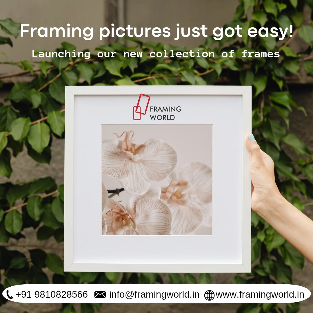 framingworld1's tweet image. ✨ New Collection Alert! ✨

Transform your walls into works of art with Framing World.

Perfect for any décor and style!

Lets Connect Now!
+91 9810828566
framingworld.in

#framingworld #frames #wall #framewall #decoratewalls #beautifulwalls