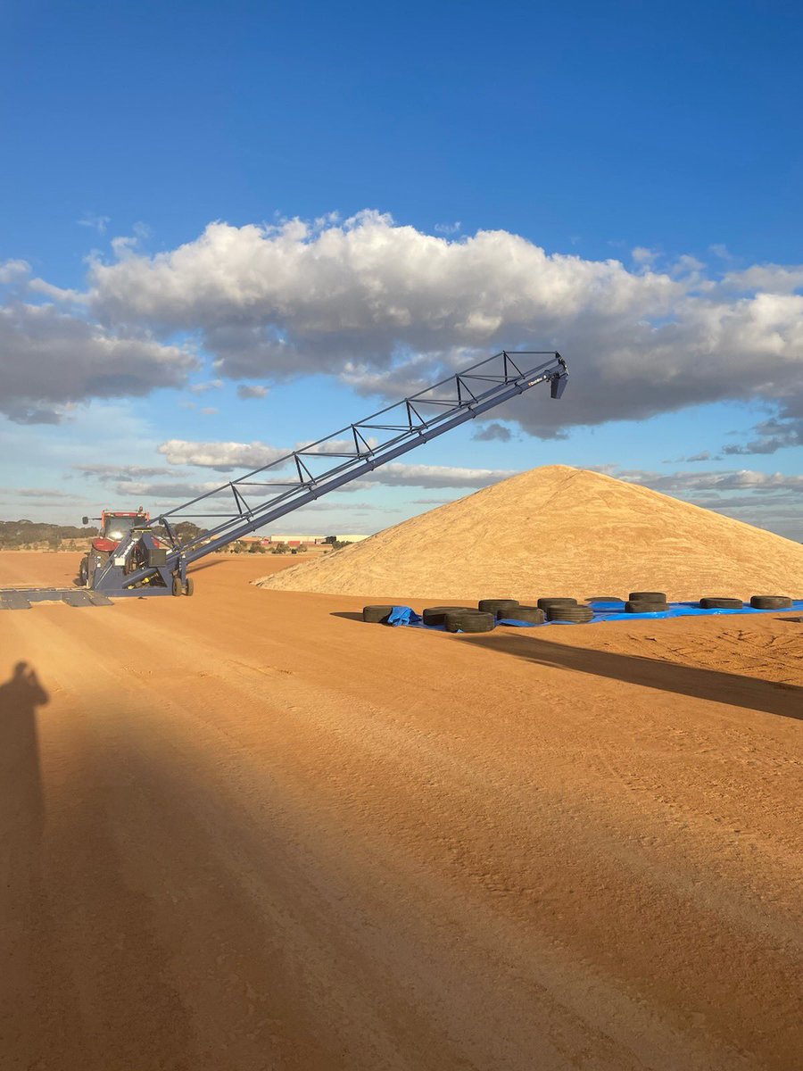 Andrew Bolt tweet media