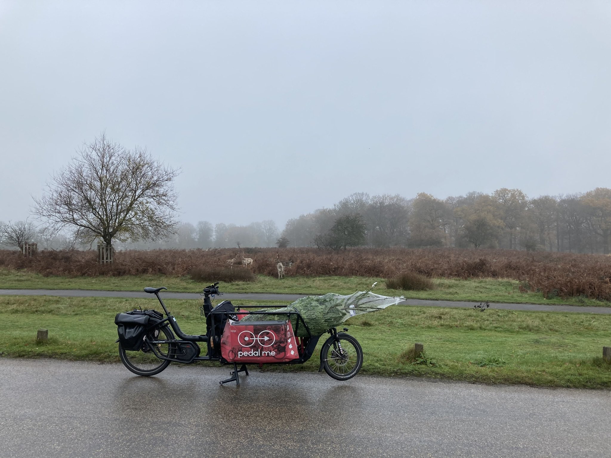 Pedal Me pedalmeapp X