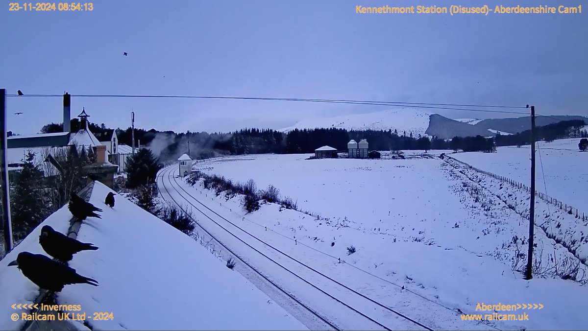 railcamlive's tweet photo. ๐ธHere is a look at whats happening on the Settle to Carlisle and north of the border...
#Beattock #Thankerton #Kennethmont @NetworkRailSCOT @ScotRail @AlexHynes https://t.co/O8ACcVNO0Y