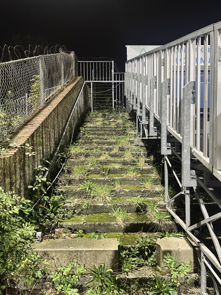 Banespringers tweet media