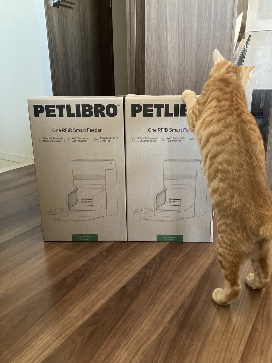 gb_bg_shirome's tweet photo. #PETLIBRO
ペットリブロの自動エサやり機買ったー😊
首輪で個体識別して蓋の開け閉めしてくれるタイプ🥺
エサやる手間と互いのエサを食べちゃう問題が解決👏
#猫のいる暮らし
#猫と楽しく暮らそう
#ペットリブロ https://t.co/37U9RPQxqi