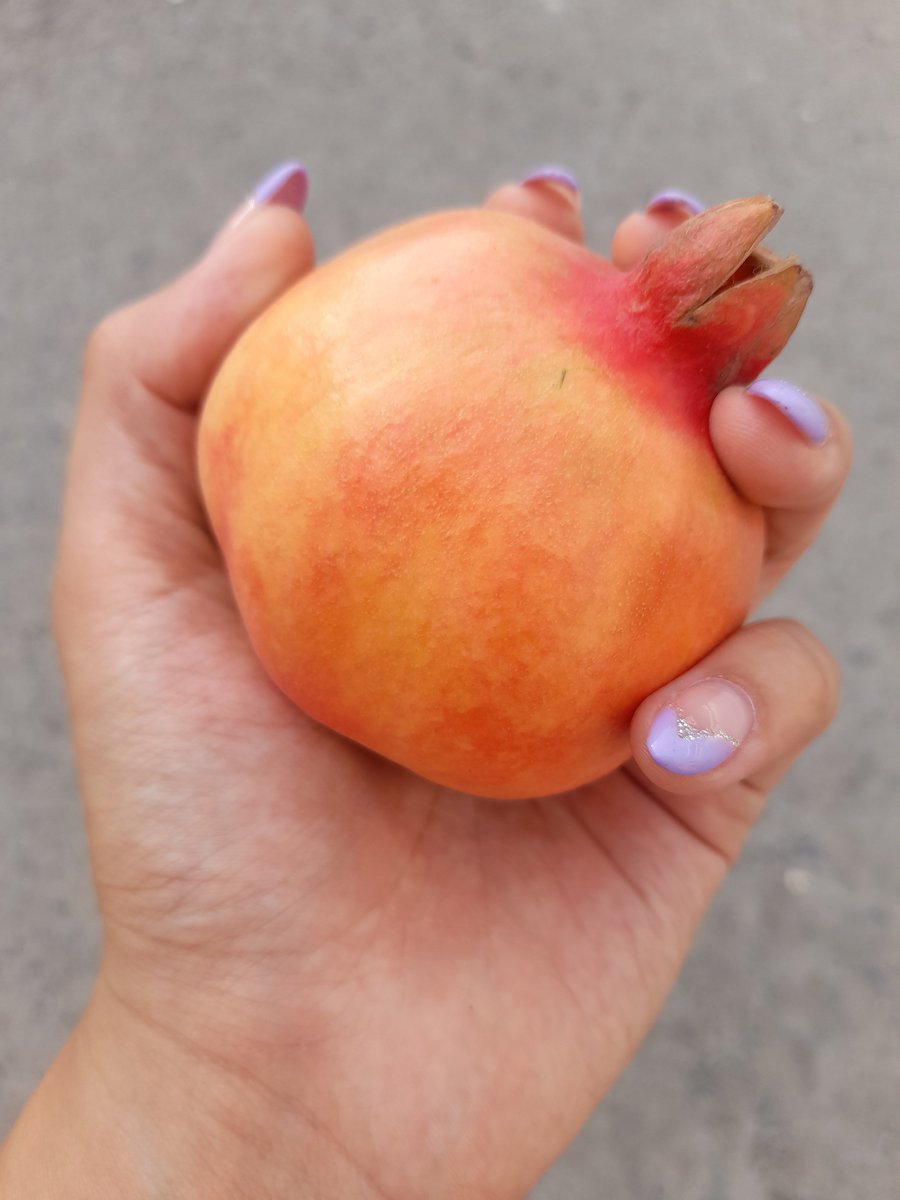 Autumn 🖤 🍂 tweet media