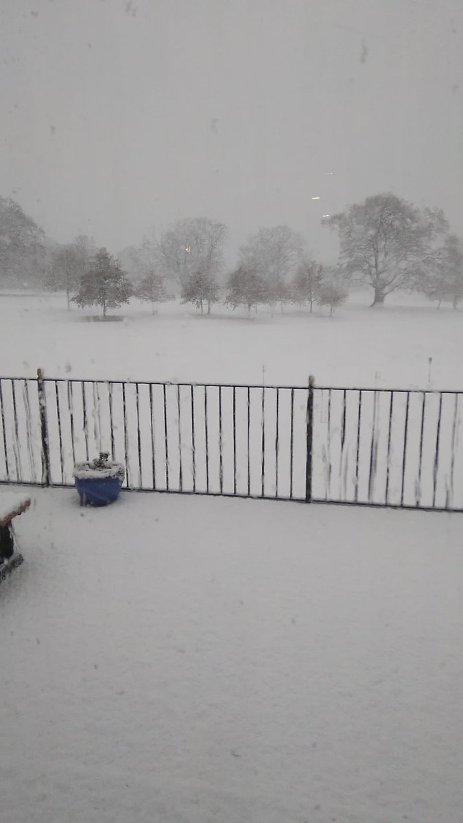 Daniel Robson tweet media