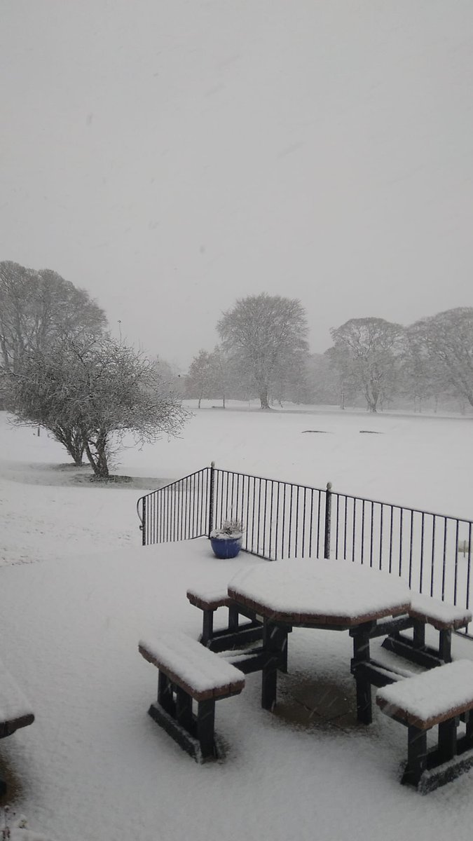 Daniel Robson tweet media