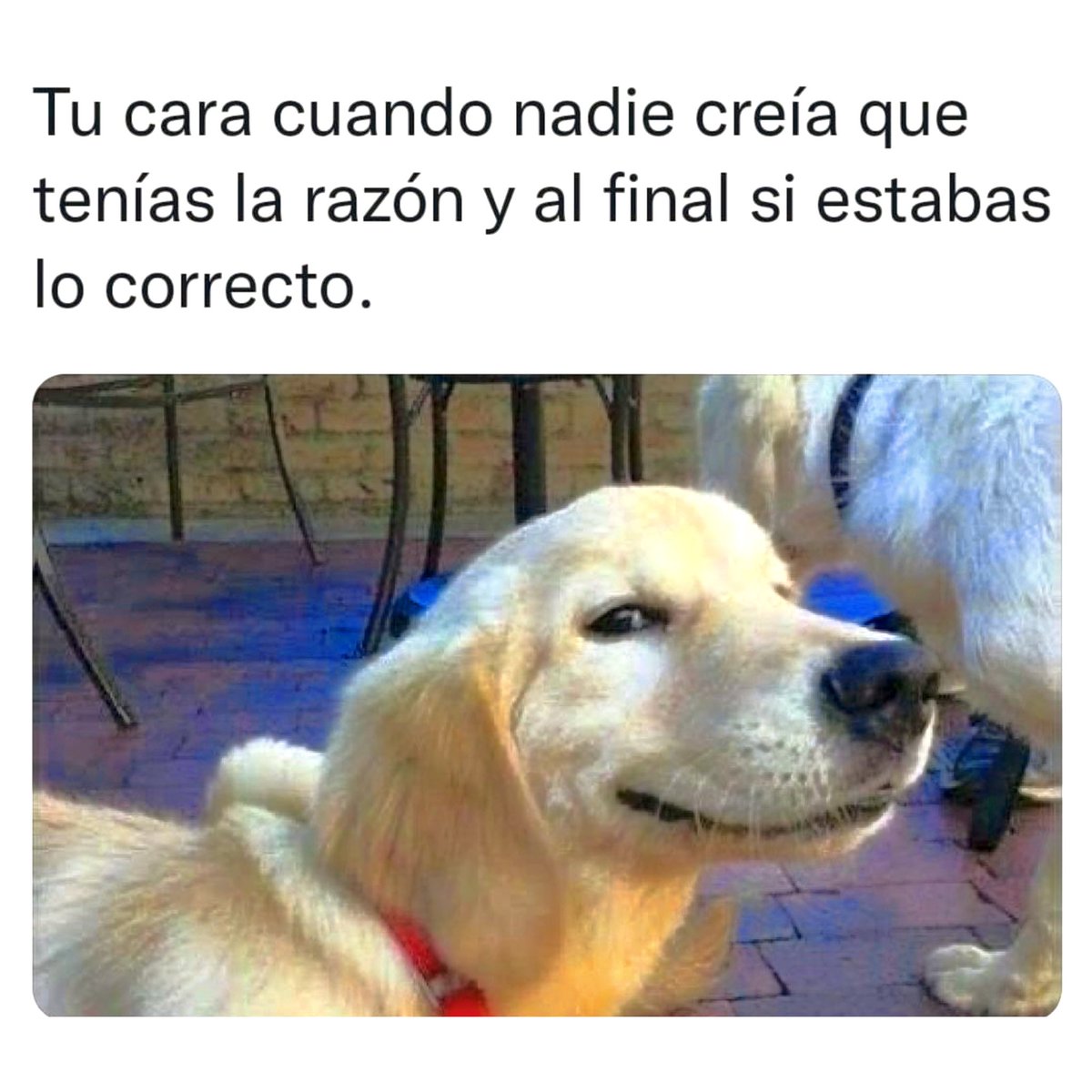 Yavi (@yavi1992) on Twitter photo 