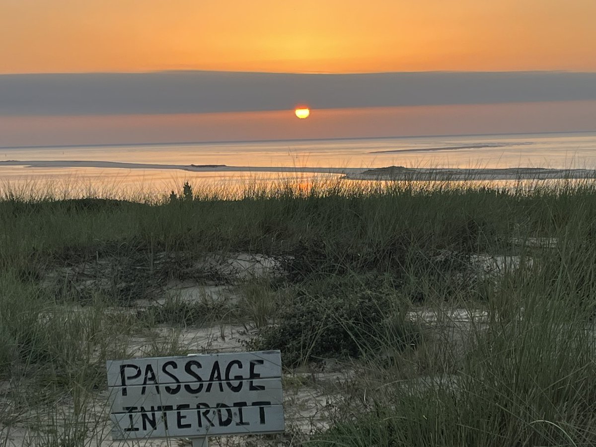 Dr Marie Danet 🔎👶 tweet media