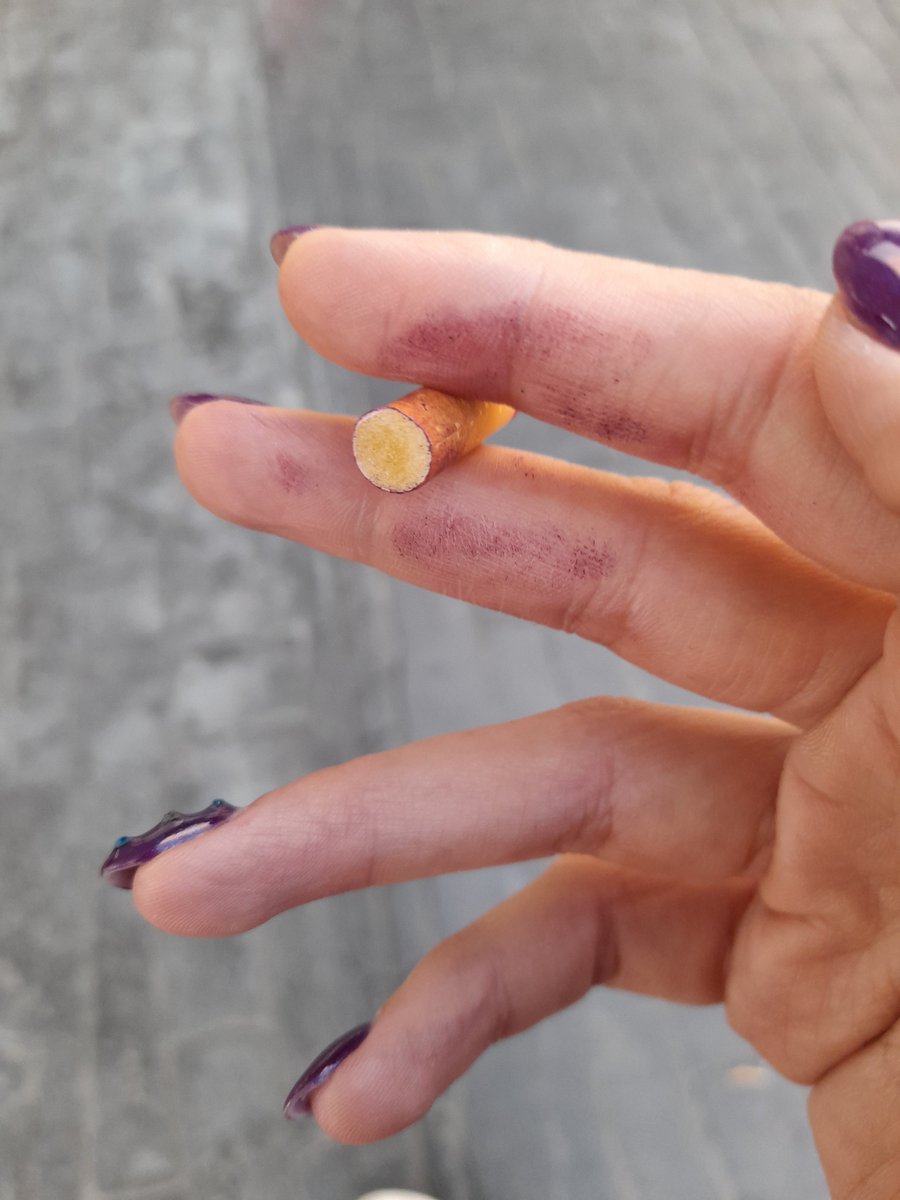 Autumn 🖤 🍂 tweet media