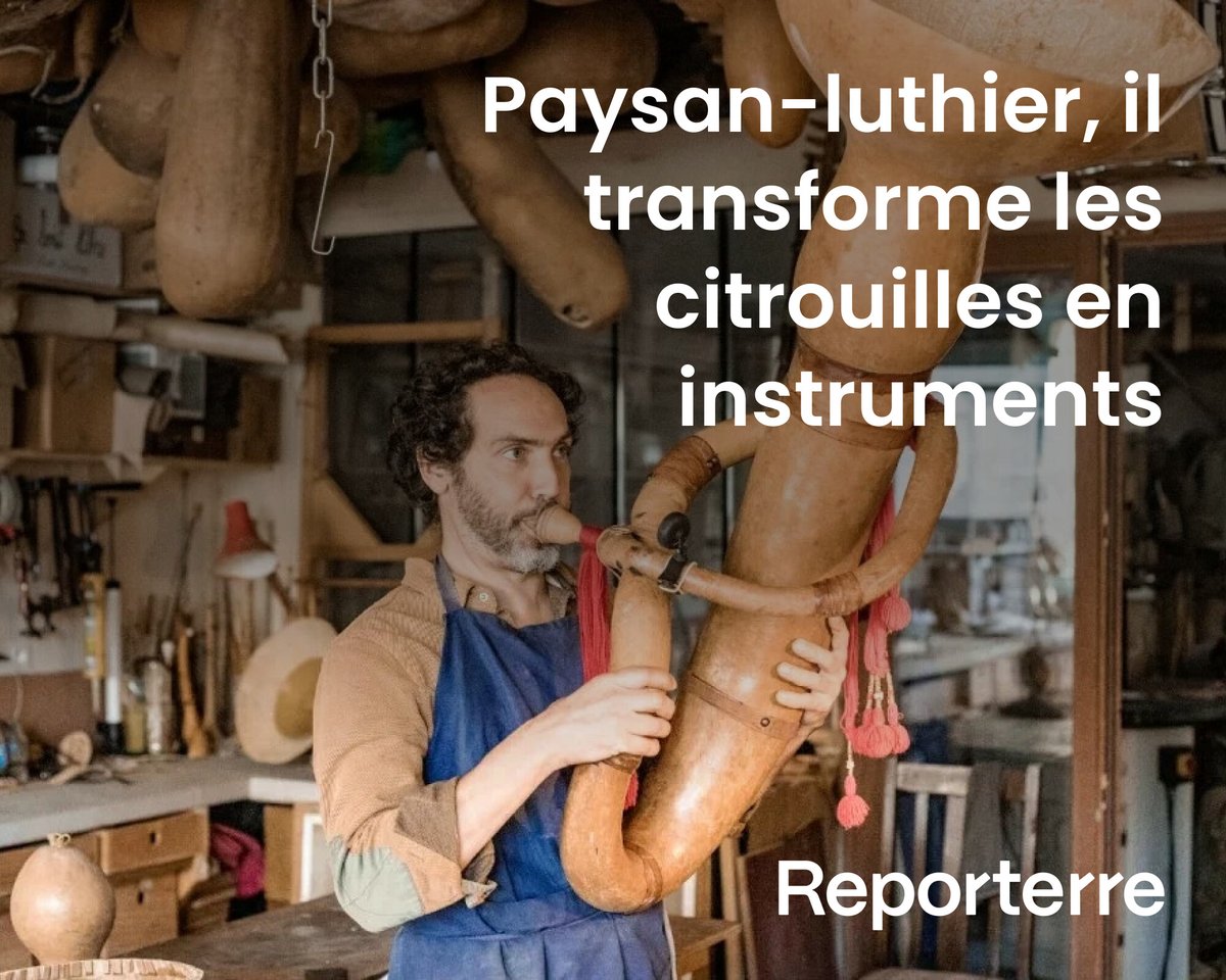 Pour éviter l’usage de bois exotiques, ce luthier plante des courges qui serviront à fabriquer des instruments à cordes et à vent, dans le sillage d’une tradition occitane oubliée. 

Lire l'article : l.reporterre.net/yEW