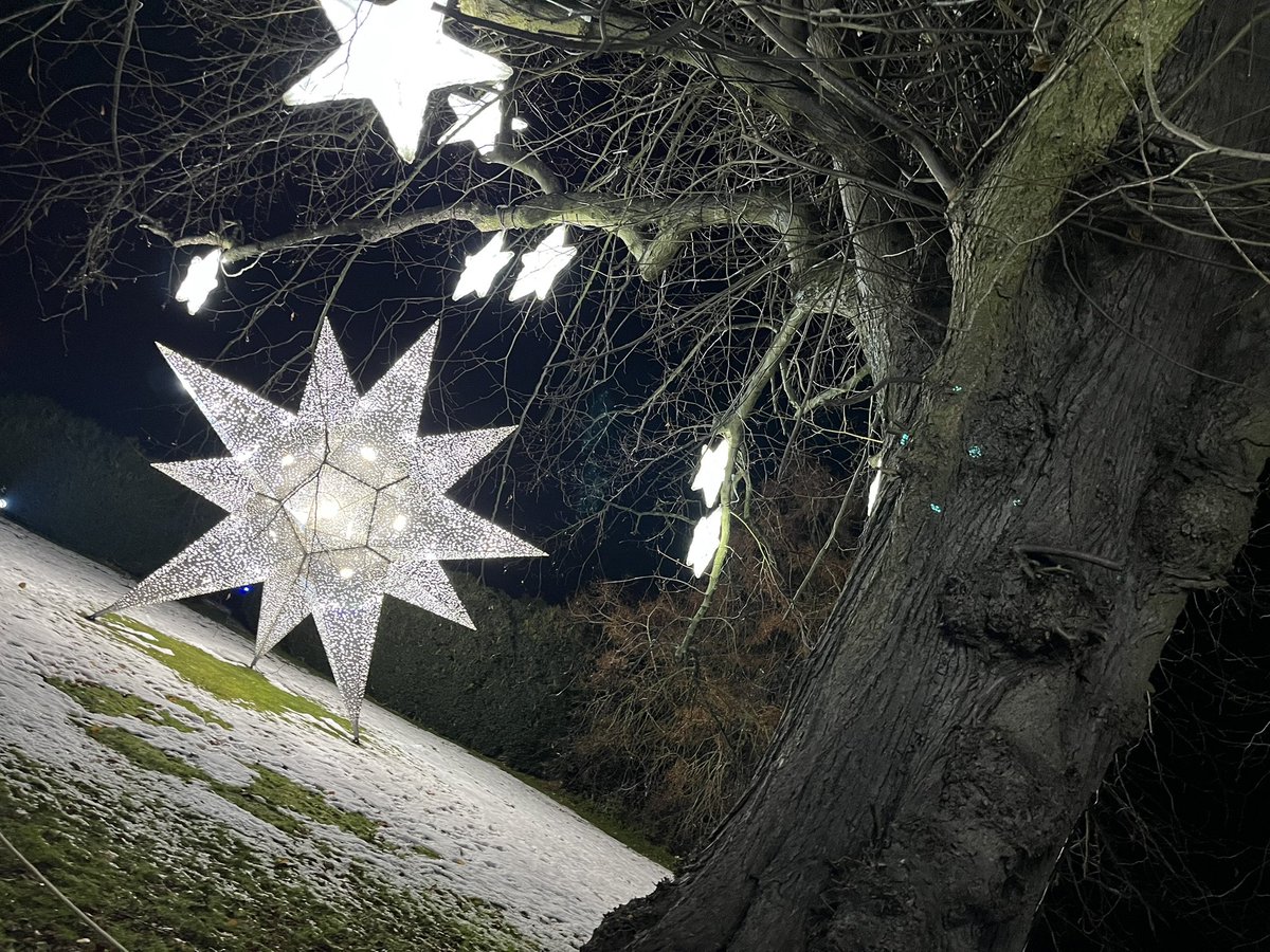 Andy Whittaker tweet media