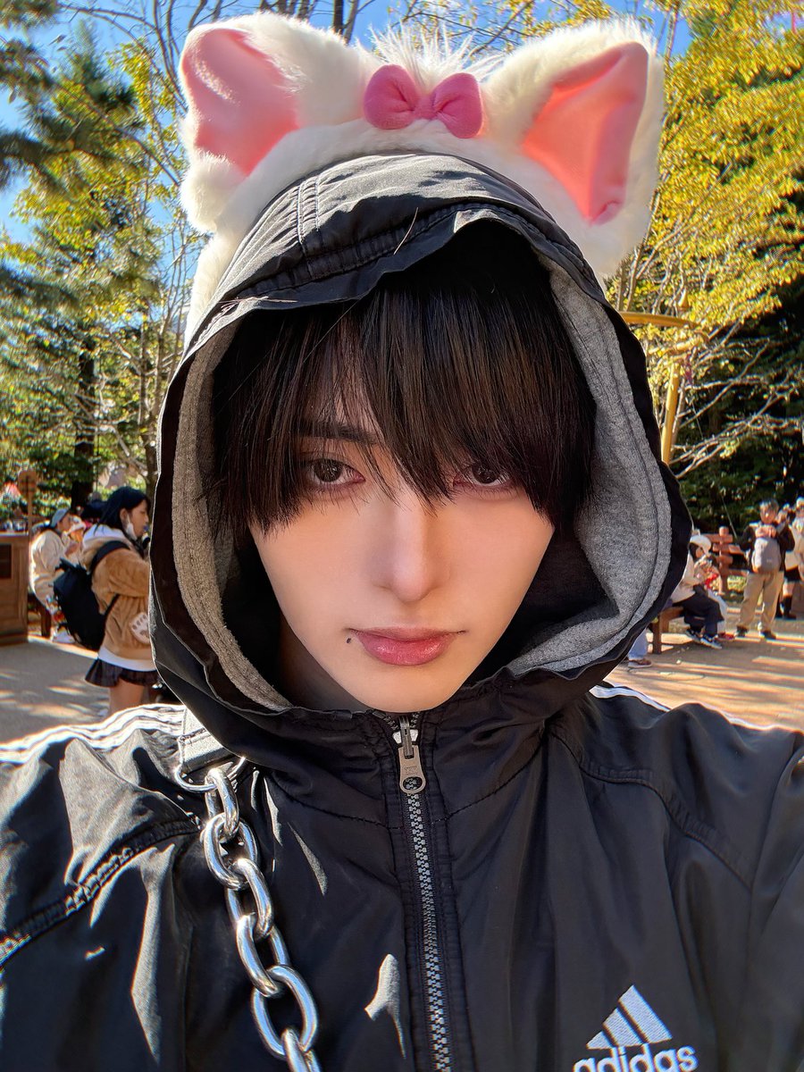 taro_lvsk's tweet photo. あえてのマリーちゃん🐱 https://t.co/xaSUziz1T5