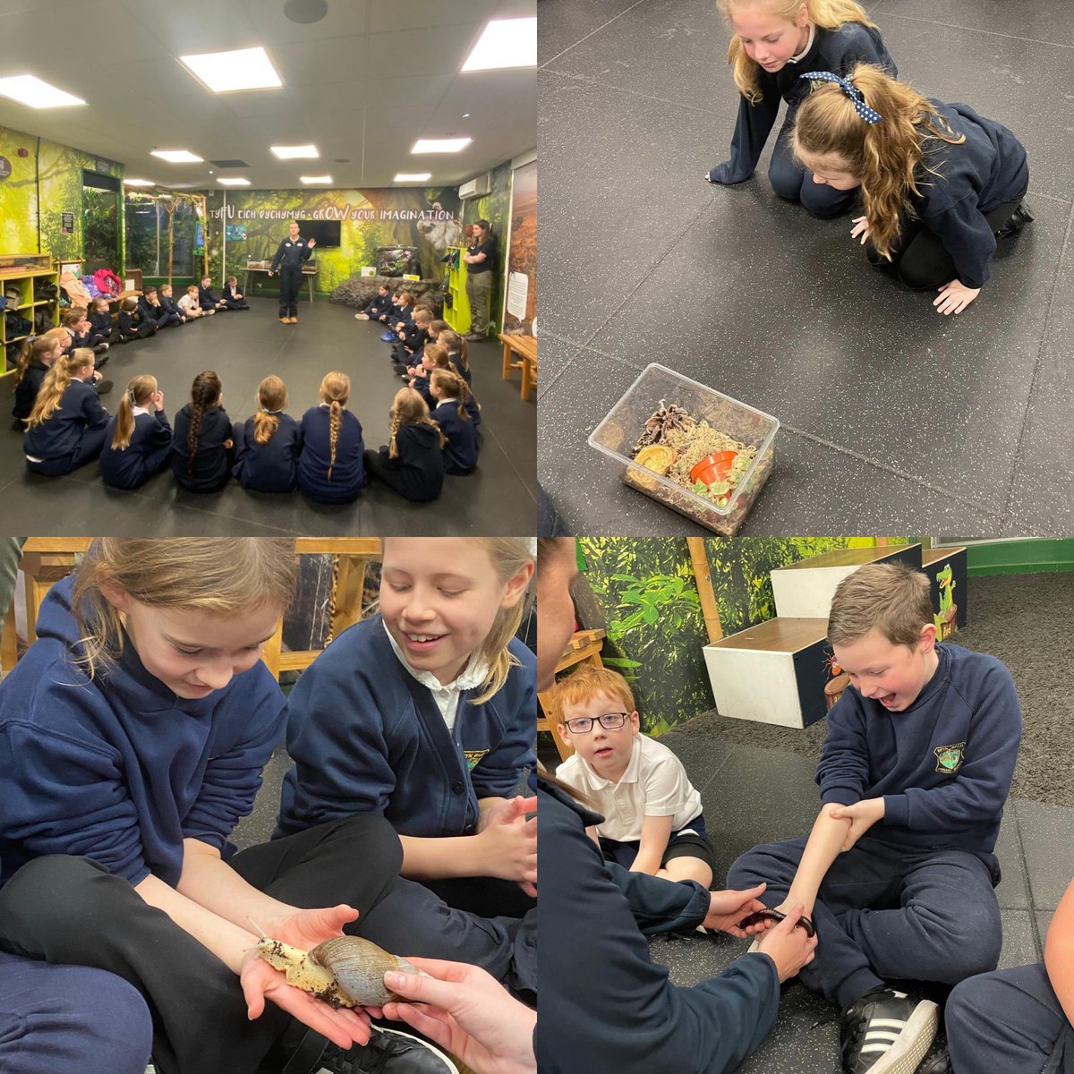 BrynBachSchool's tweet photo. Mighty Oaks had a wonderful time meeting interesting members of our fellow animal kingdom in @Plantasia6.
The children used their extensive knowledge of living things to ask insightful and probing questions. We all learned so much!
#ethicalandinformed https://t.co/EbrcDGSaXo