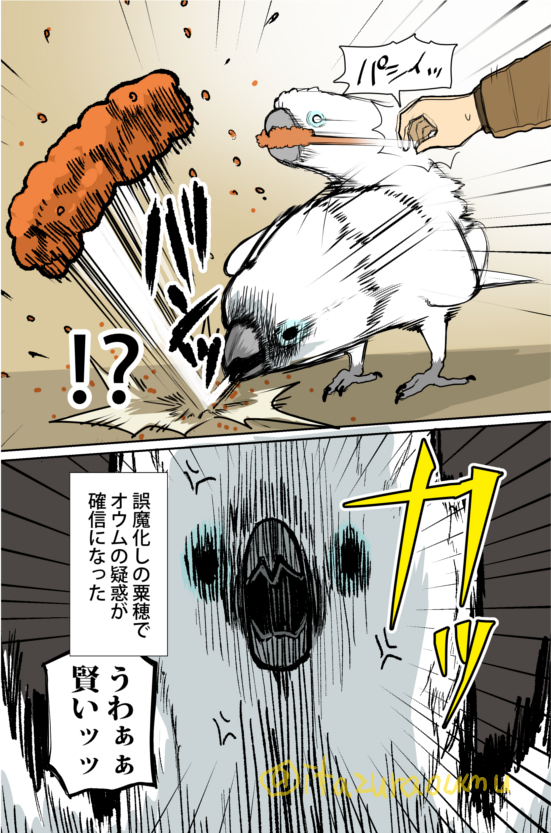理解力のあるオウム🐤 