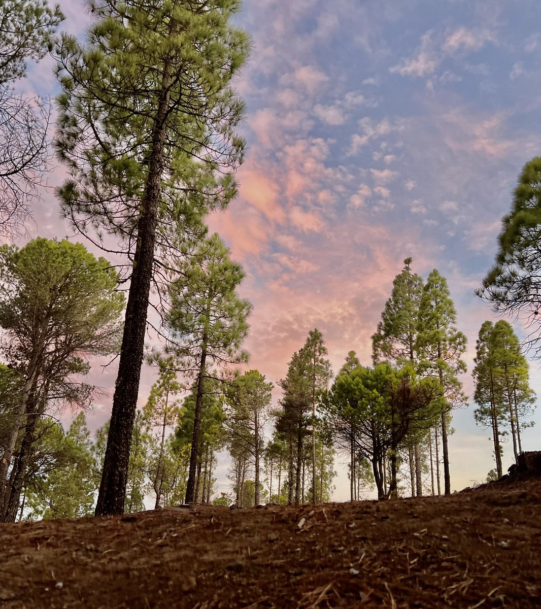 Hoy amaneció así de bonito en la cumbre!🌄🌌
Feliz Sábado!🙃🤸🏻

<a href="/EmocionesCan/">Emociones Canarias</a> 
<a href="/VickyPalmaMeteo/">Vicky Palma</a> 
<a href="/Tejeda_GC/">Ayuntamiento Tejeda</a> 
#GranCanaria