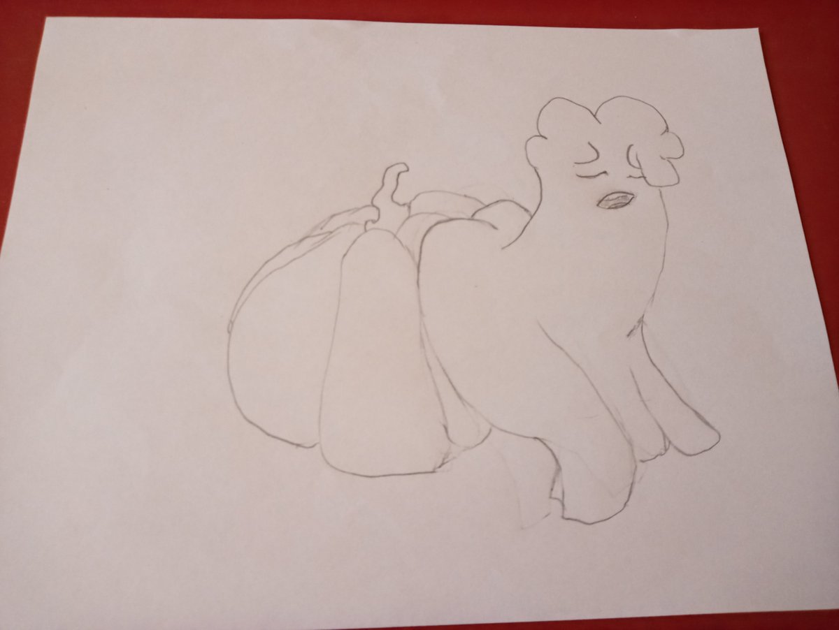 Cameron The Corgi tweet media