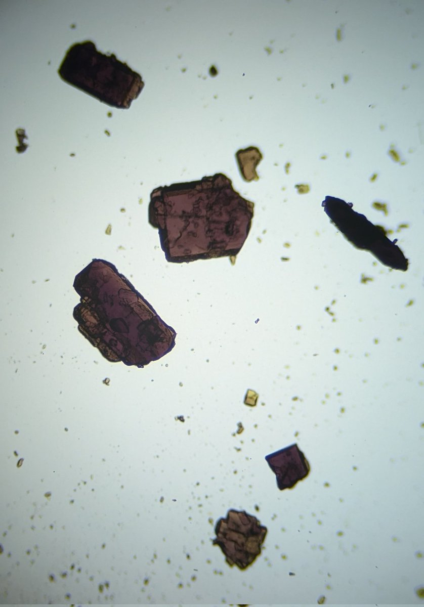 As promised some more absolutely beautiful Nickel complexes. 😍

These ones couldn't make up their mind on what color they wanted to be (both pictures are of the same crystals just on different microscopes).