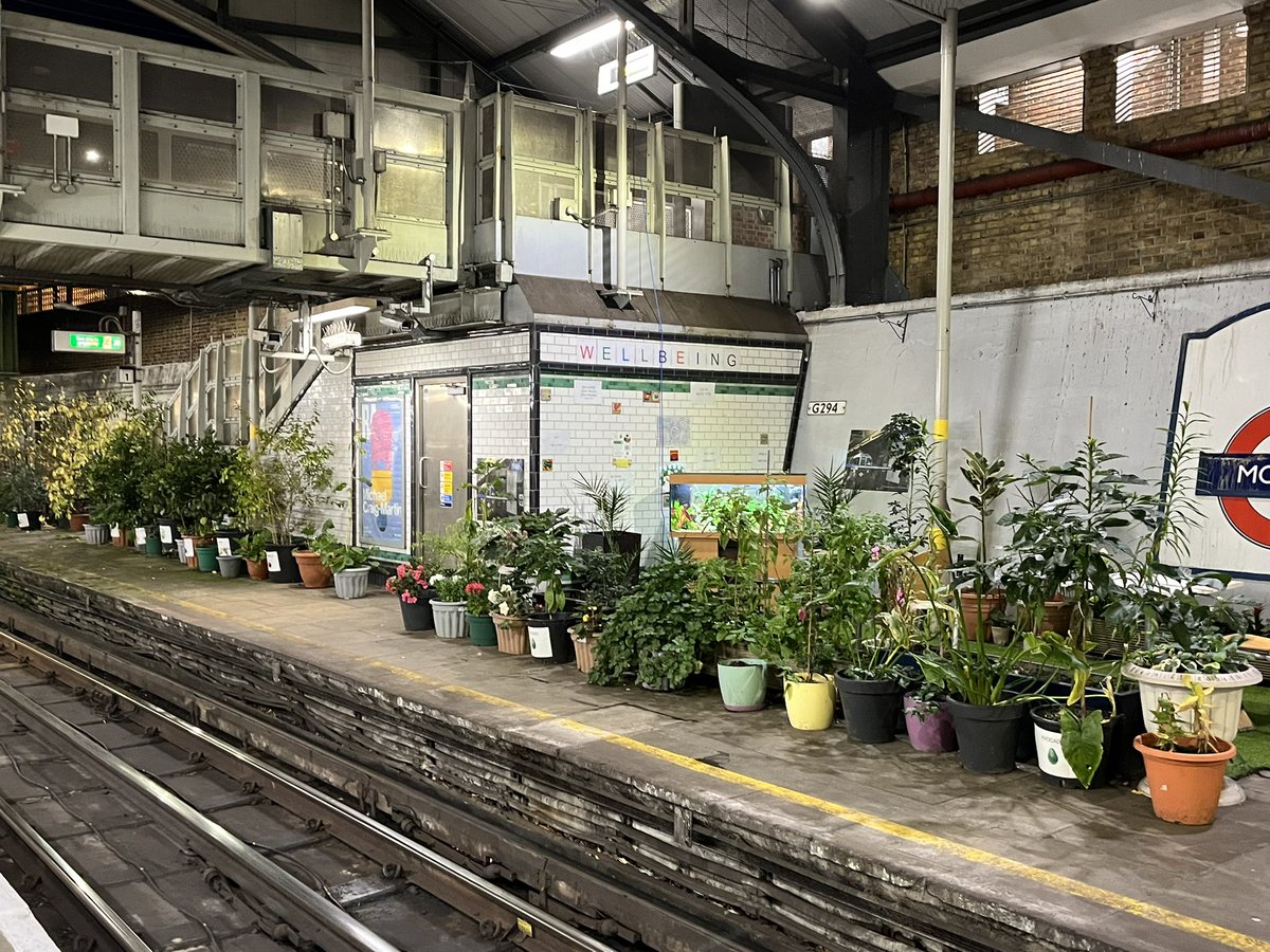 mcameron_mh's tweet photo. I think many more of London stations should have a space like this. Londoners always on the go. But a time to stop and think to take in nature and beauty I think is very much needed. @MayorofLondon @TfL https://t.co/DvWGLLSKMy
