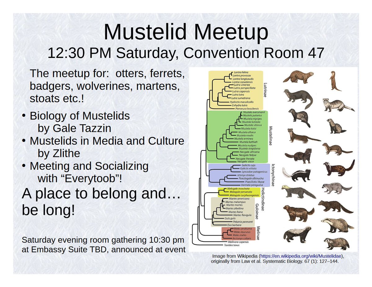ZlitheZlithe's tweet photo. MFF @FurFest Mustelid meetup! Details in flyer! https://t.co/emkZb1aTVq
