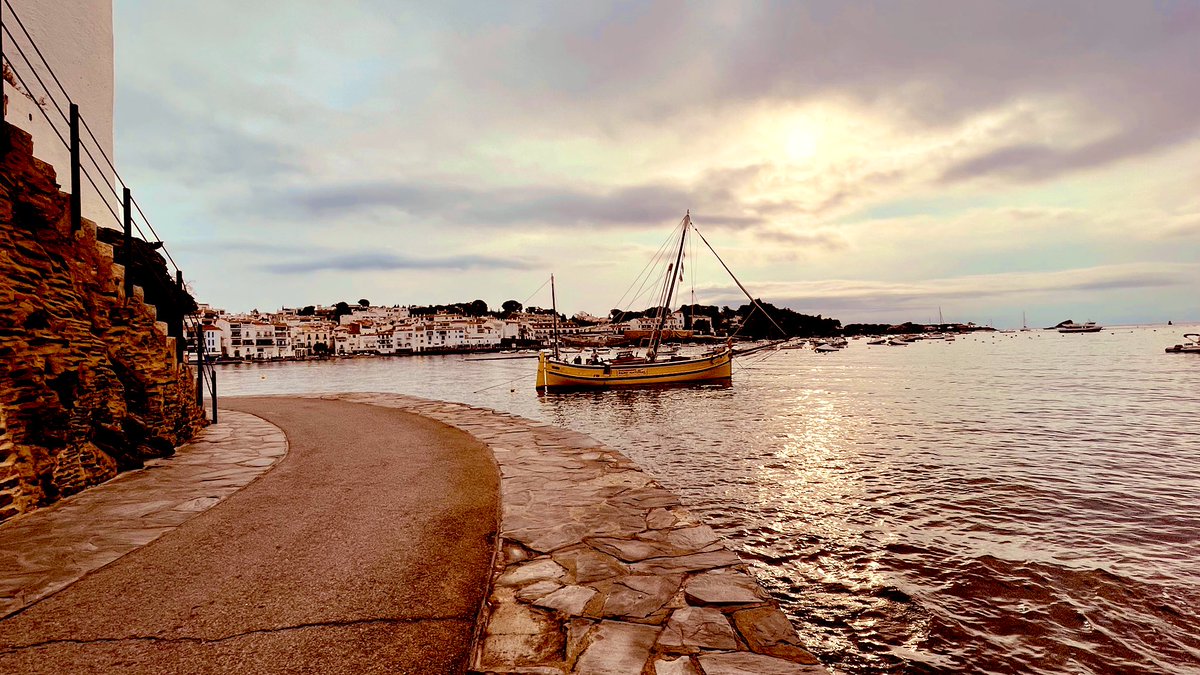 Mini 🌞🇨🇦 tweet media