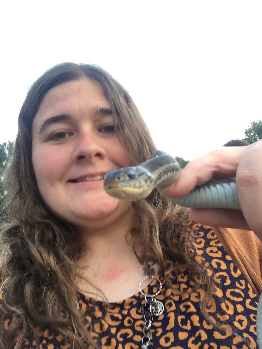Squidjeelizards's tweet photo. #nature #reptile #snake #gartersnake #easterngartersnake #commongartersnake #thamnophis #herping #fieldherping #wildlife #wildlifephotography https://t.co/KtBC1LiXeG