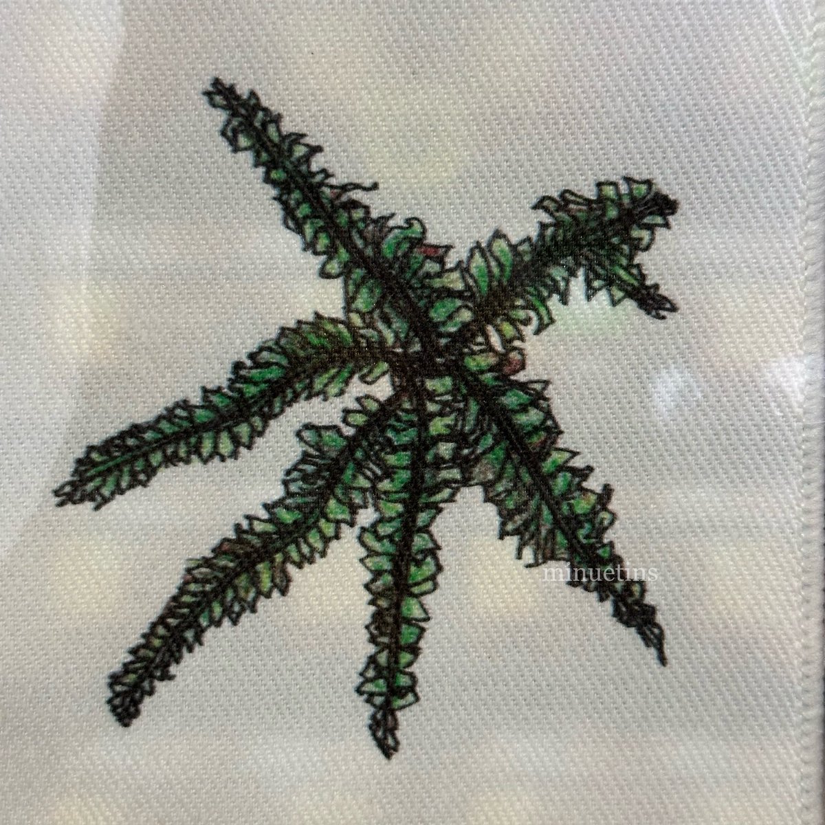 minuetins's tweet photo. 수민 손그림 탄생화 패브릭엽서 받았어… 헐… 영통 당첨자중 9명만 뽑았는데 나… 수민꺼 당첨..?🥹❤️ 4월 7일 탄생화는 공작고사리🌿 
평생 아껴줄게…ヽ(*＾ω＾*)ﾉ https://t.co/pUNSs37Nrs