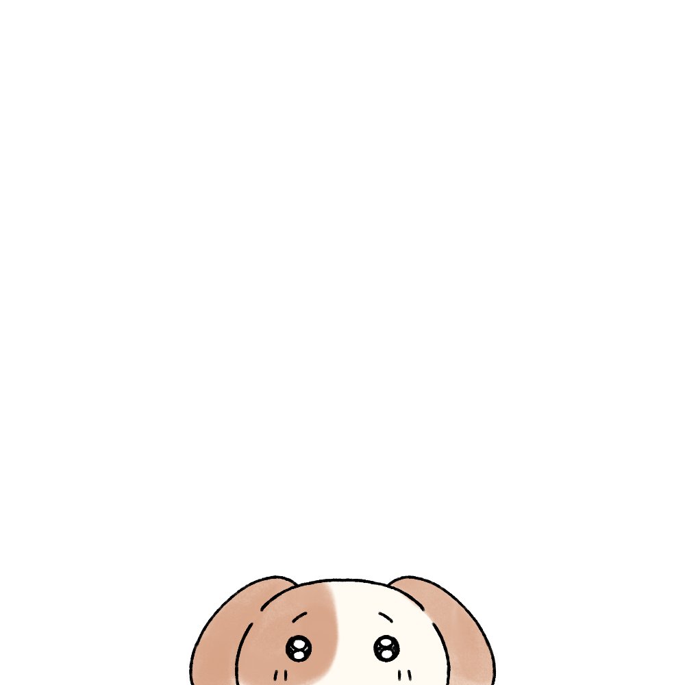 묘냥이와 멍구 (@myo_n_meong) on Twitter photo 