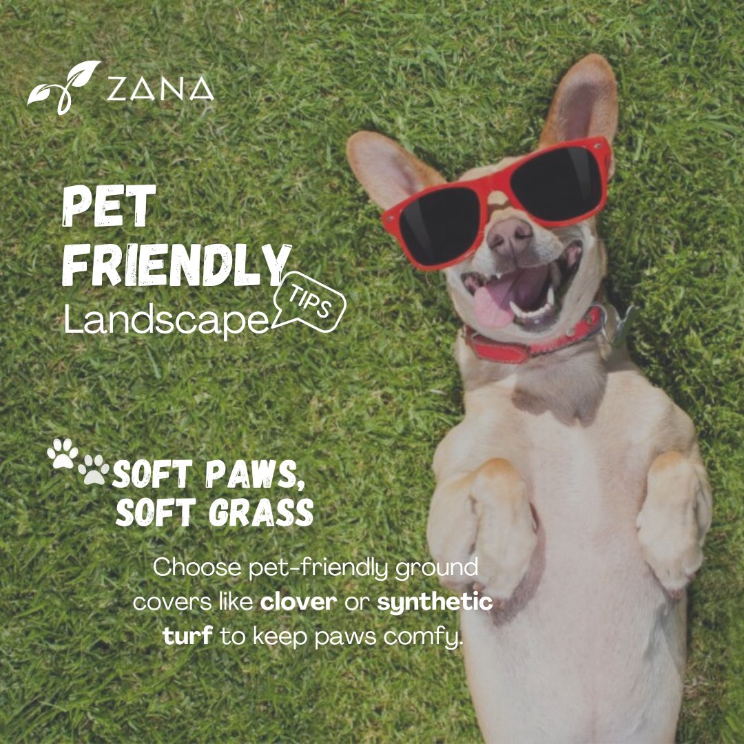 Got a tip for designing pet-approved outdoor spaces? Share it in the comments! #PetFriendlyLandscaping #PawsInParadise #Zanalandscape