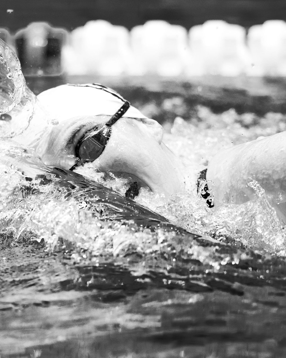 LSUSwimDive's tweet photo. Midseason flicks in black and white https://t.co/pV1uD7b8VC