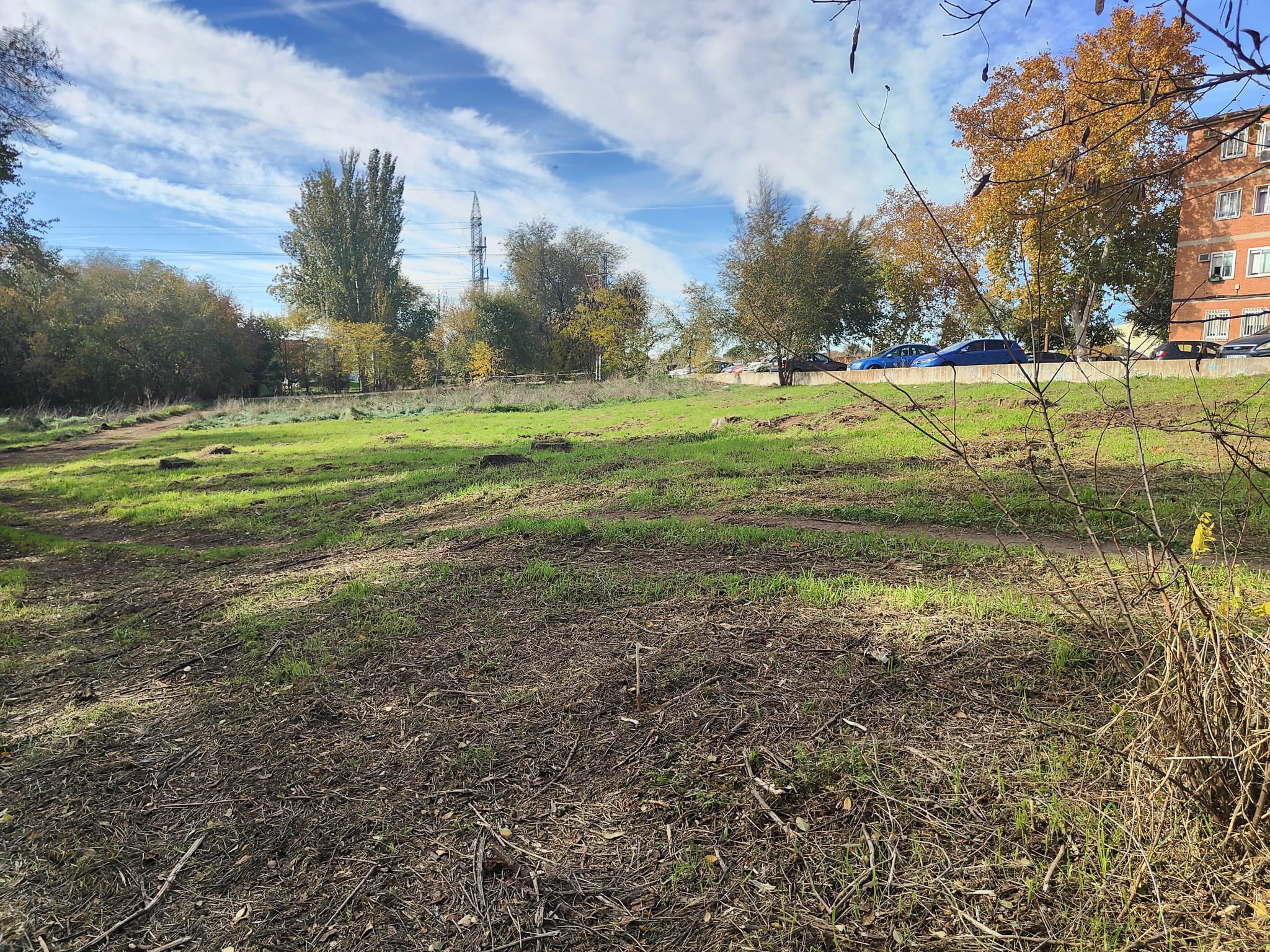 Foto cedida por Ayuntamiento de Alcalá 