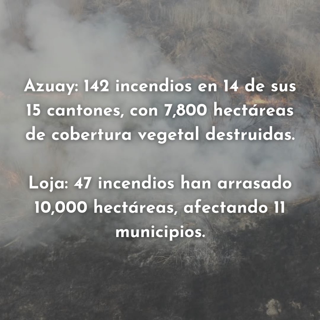 HijasdePandora_'s tweet photo. ¡El sur necesita tu apoyo! Cada dólar cuenta, cada donación hace la diferencia. ❤️‍🩹 #Cuenca #Azuay #Wildfire #incendiosforestales https://t.co/tv7rsck7lO