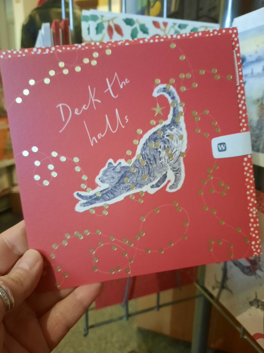 ChingfordBooks's tweet photo. Some of our Single Christmas Cards in the shop come browse.
We are here Mondays to Saturdays from 10 am till 5 pm.
See you soon ๐ ๐
#MagicOfTheBookshop #ChooseBookshops #WhereYouShopMatters #CommunityIsUnity #ChingfordHighStreet #ChingfordVillage
#JosBookshop #Books #Bookshop https://t.co/AjxemgFDYd