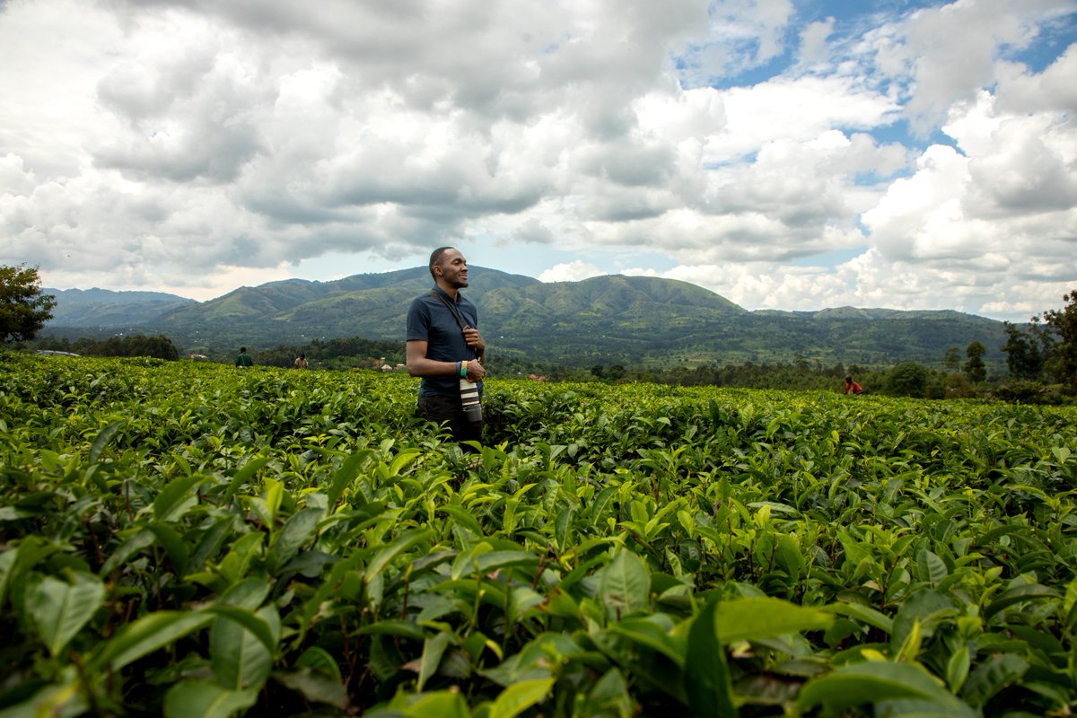 Portrait Feature: <a href="/siriovos/">Yacovos</a>