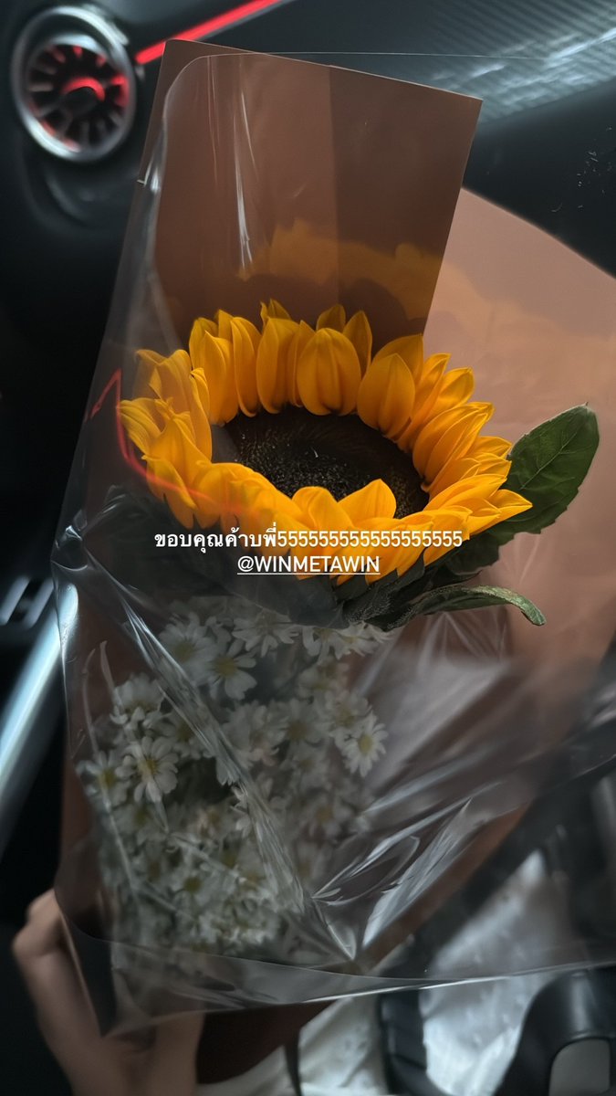 fessthai | เฟสไทย tweet media