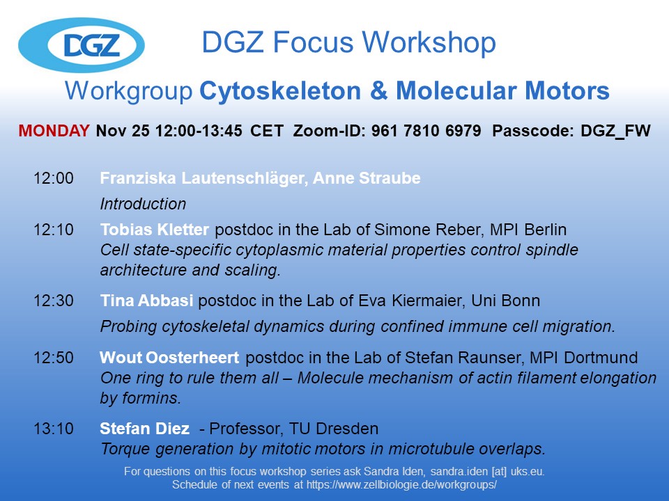 DGZ, @DGZ.bsky.social (@dgz_info) on Twitter photo Join us on Monday noon for the #DGZ Focus Workshop on #Cytoskeleton & #MolecularMotors! Organized by <a href="/AnneStraube/">Anne Straube (annestraube.bsky.social)</a> and Franziska Lautenschläger <a href="/Laulab2021/">Franziska Lautenschläger</a>; featuring @TobiasKletter (<a href="/SimoneReber/">Simone Reber</a> lab), Tina Abbasi (Kiermaier lab), <a href="/WoutOosterheert/">Wout Oosterheert</a> (<a href="/mpimoph/">MPI Dortmund</a>) & <a href="/StefanDiezLab/">DiezLab</a> ⬇️ Join us on Monday noon for the #DGZ Focus Workshop on #Cytoskeleton & #MolecularMotors! Organized by <a href="/AnneStraube/">Anne Straube (annestraube.bsky.social)</a> and Franziska Lautenschläger <a href="/Laulab2021/">Franziska Lautenschläger</a>; featuring @TobiasKletter (<a href="/SimoneReber/">Simone Reber</a> lab), Tina Abbasi (Kiermaier lab), <a href="/WoutOosterheert/">Wout Oosterheert</a> (<a href="/mpimoph/">MPI Dortmund</a>) & <a href="/StefanDiezLab/">DiezLab</a> ⬇️