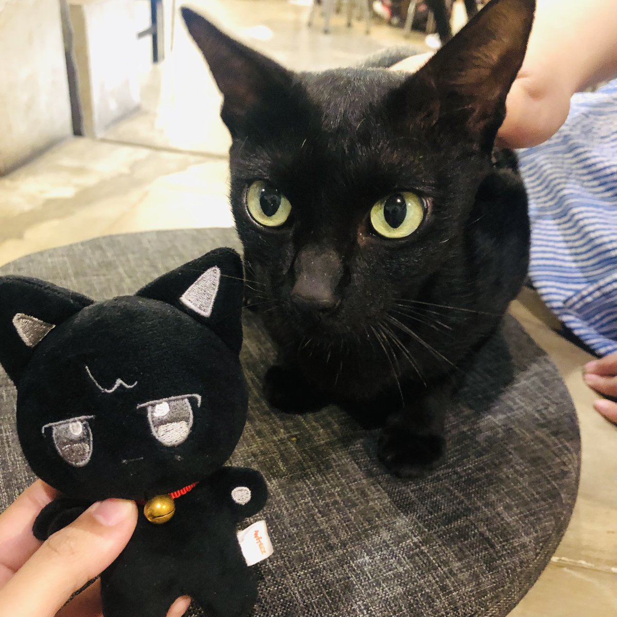 It's Topaz Month!🥳🥳

Wait... did you see?  There's a special guest star—'Wooreng aka Wooyonyang'—joining the event too!

Thank you <a href="/1024street/">1024ѕт</a> for hosting Topaz birthday event. Can’t wait for the next one!🔥