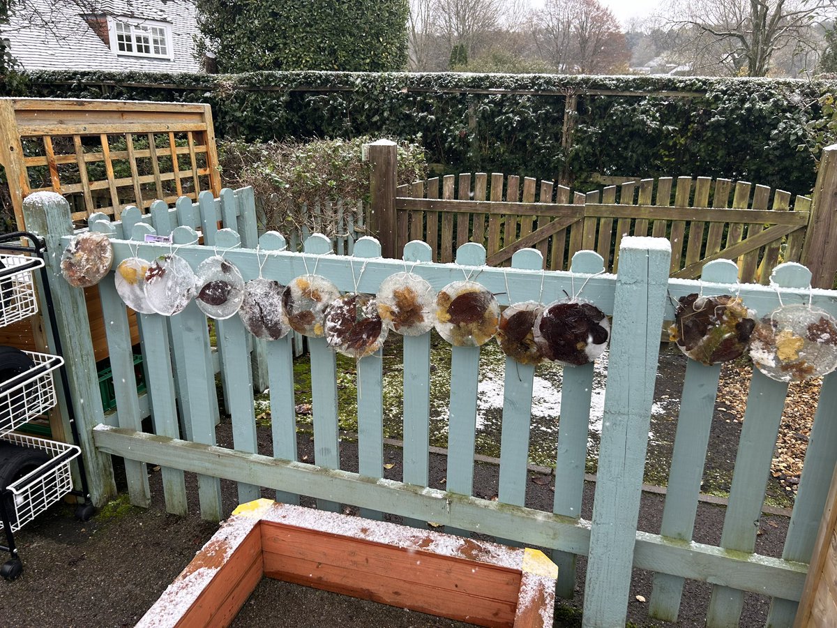 Pitton School tweet media