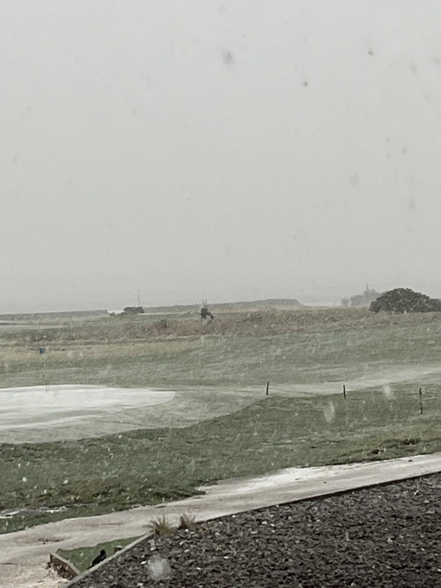 Michael Yan Hip tweet media