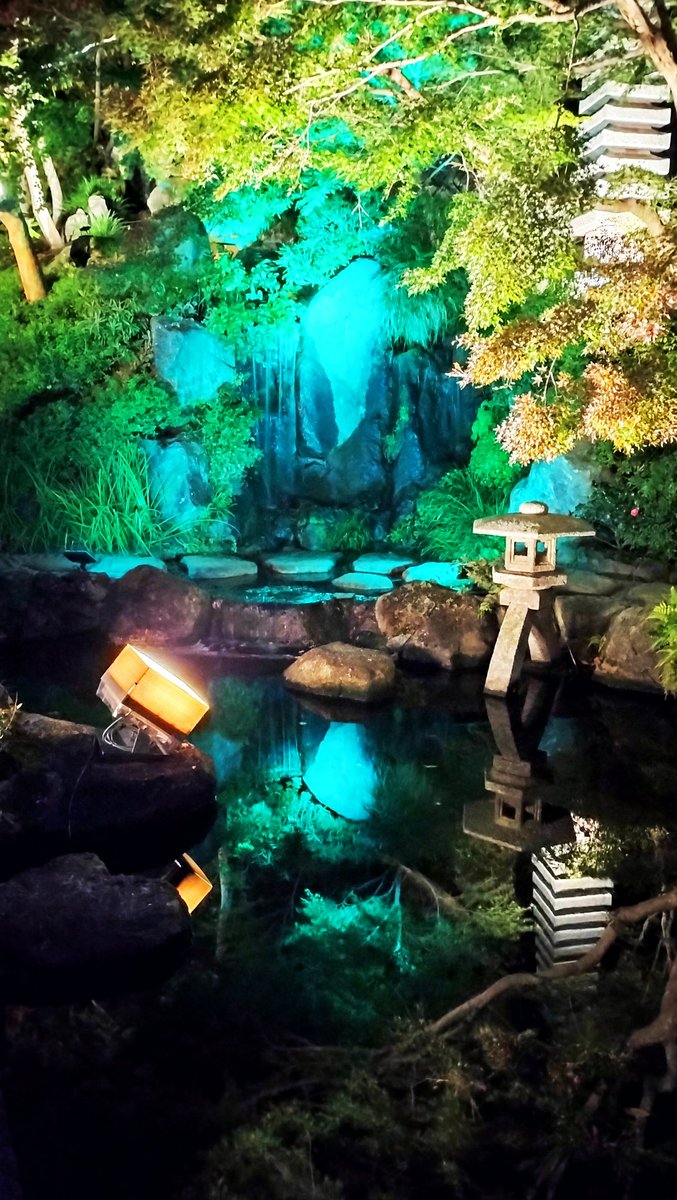 Zen_chama's tweet photo. I visited the autumn foliage illumination at Hasedera Temple. The fantastical light reflecting off the autumn leaves onto the water surface created a landscape that looked like a painting. It's a spot where you can fully enjoy the beauty of an autumn night.
#長谷寺
#ライトアップ https://t.co/HU5XXAInaR