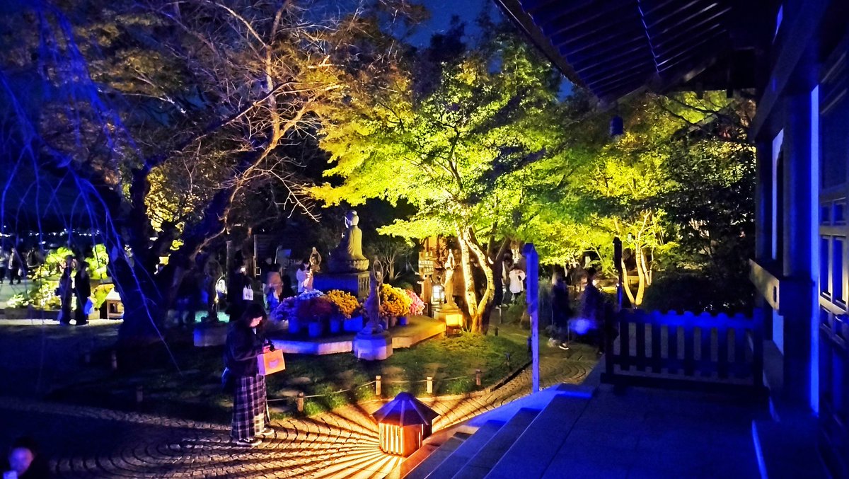 Zen_chama's tweet photo. I visited the autumn foliage illumination at Hasedera Temple. The fantastical light reflecting off the autumn leaves onto the water surface created a landscape that looked like a painting. It's a spot where you can fully enjoy the beauty of an autumn night.
#長谷寺
#ライトアップ https://t.co/HU5XXAInaR
