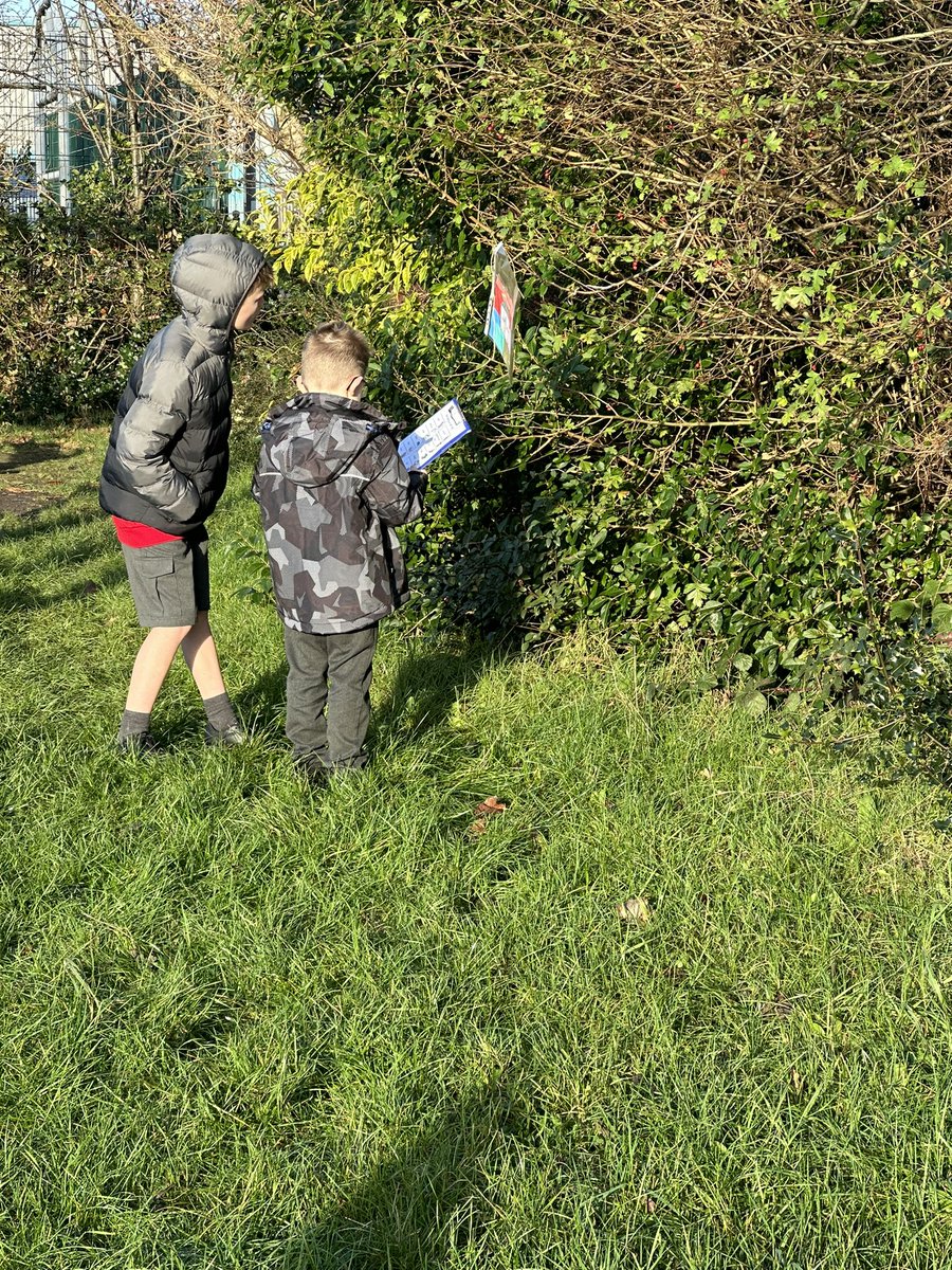 Our P7 buddies illustrated front covers of a book and turned it into a scavenger hunt during #BookWeekScotland . P1 found them all and then made story maps showing what the story could have been about! Thanks Buddies! :)