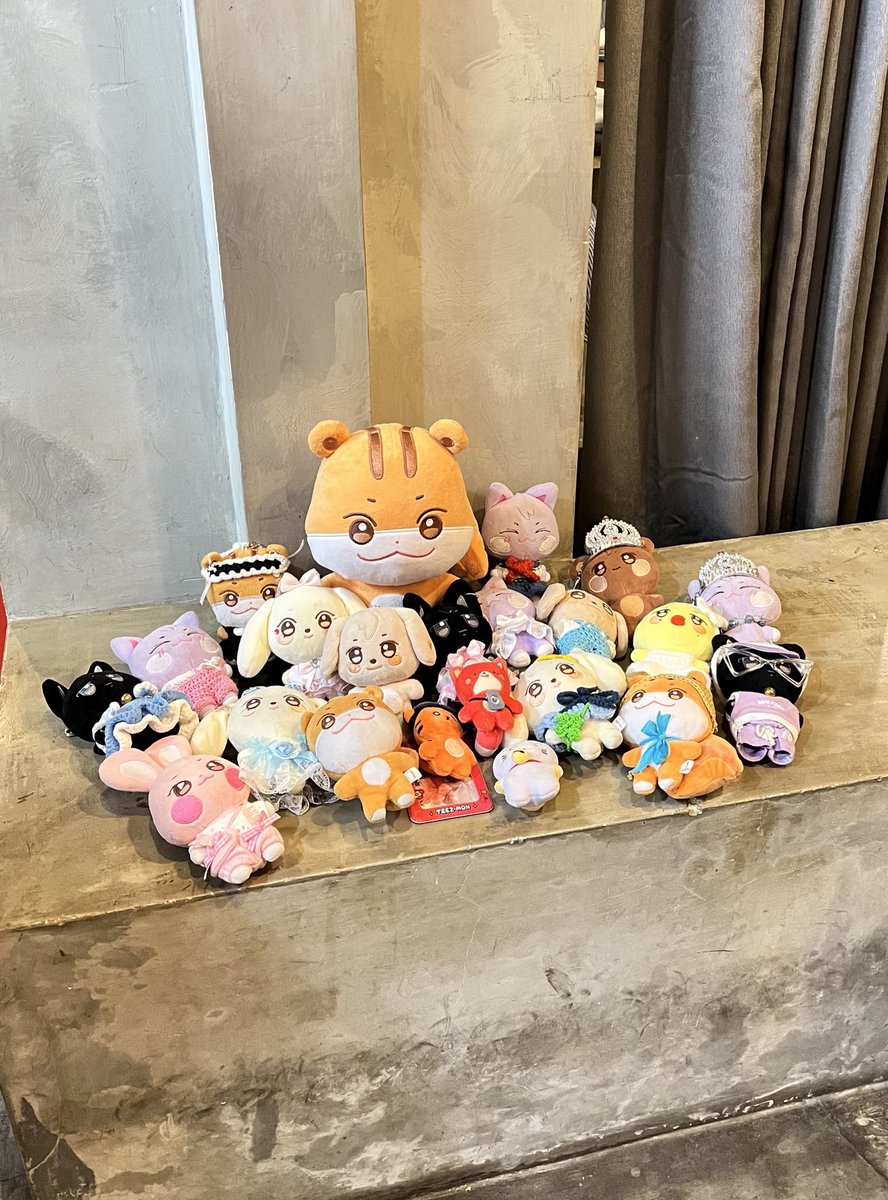 jayurobge's tweet photo. — today’s adventure at @1024street ‘s #HomecomingWithTOPAZ birthday event✨💚🐿️🐈‍⬛🧡🌿

⋆𐙚₊˚⊹♡⋆౨ৎ˚⟡˖ ࣪ https://t.co/ip9apw5JBi