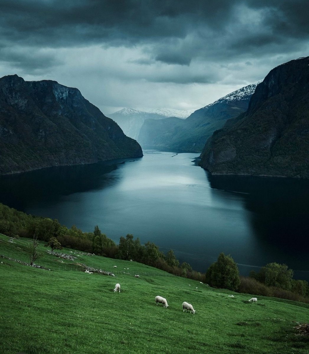 earthcurated's tweet image. Norway 🍃